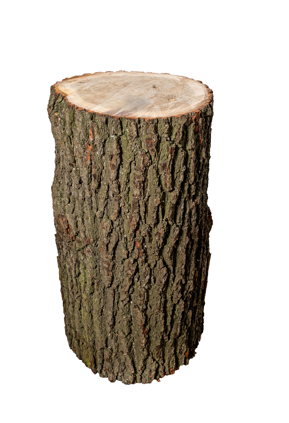 Hackklotz Hartholz Eiche, Höhe 80 cm Hackklotz Hartholz Eiche, Höhe 80 cm