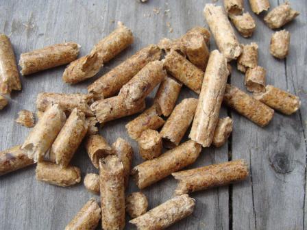 Pellets einzeln.jpg