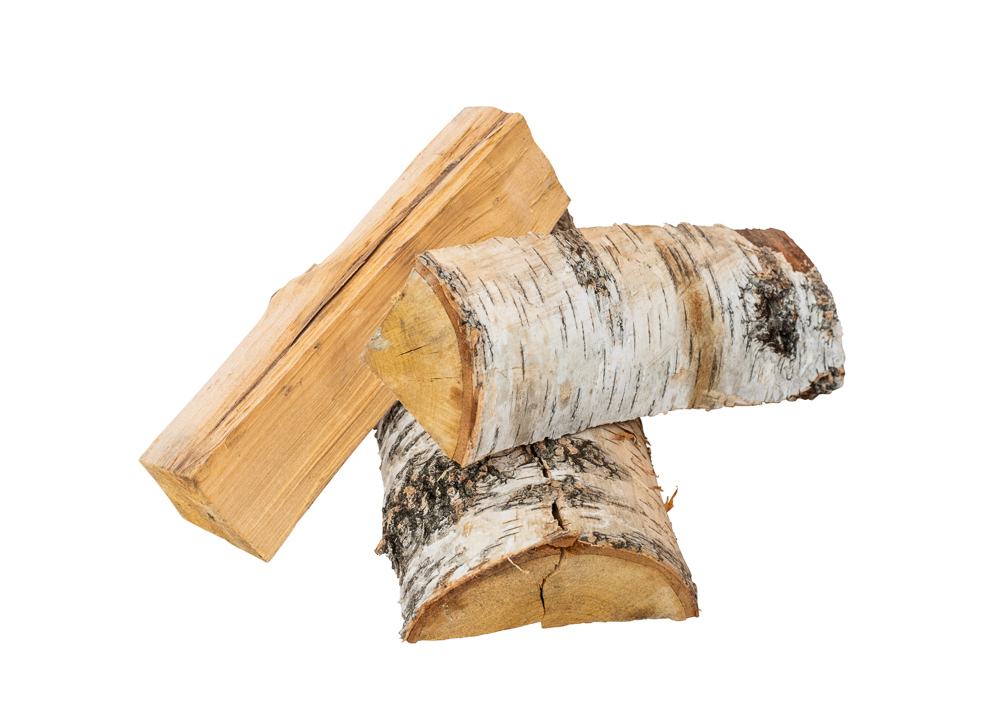 Birke Scheit 24 (2).jpg